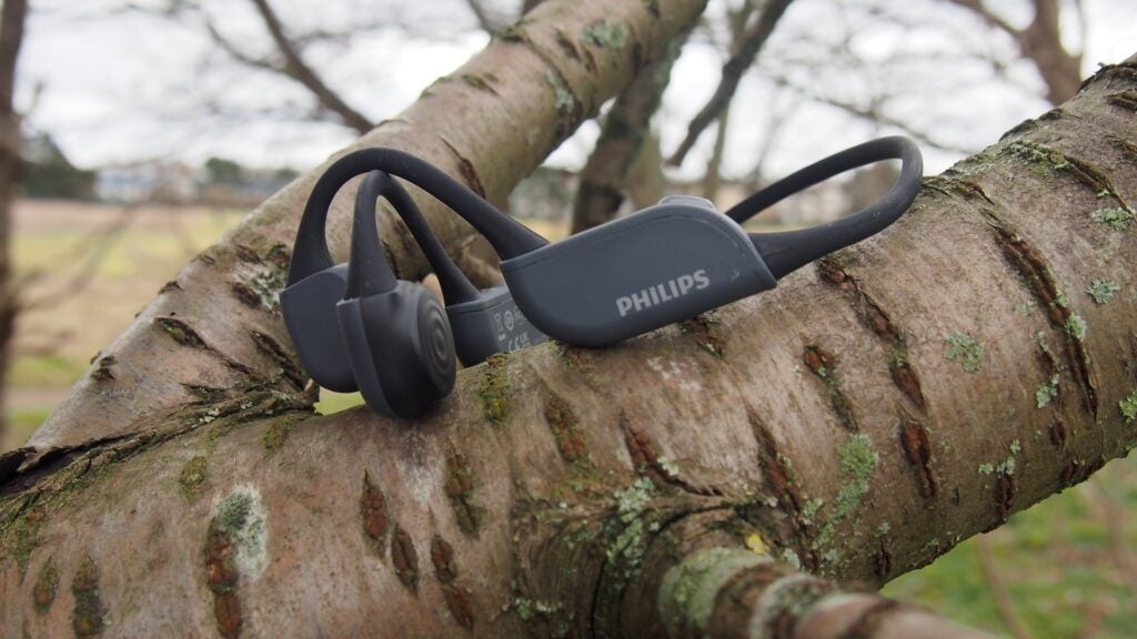 Philips TAA6606 en la rama de un árbol