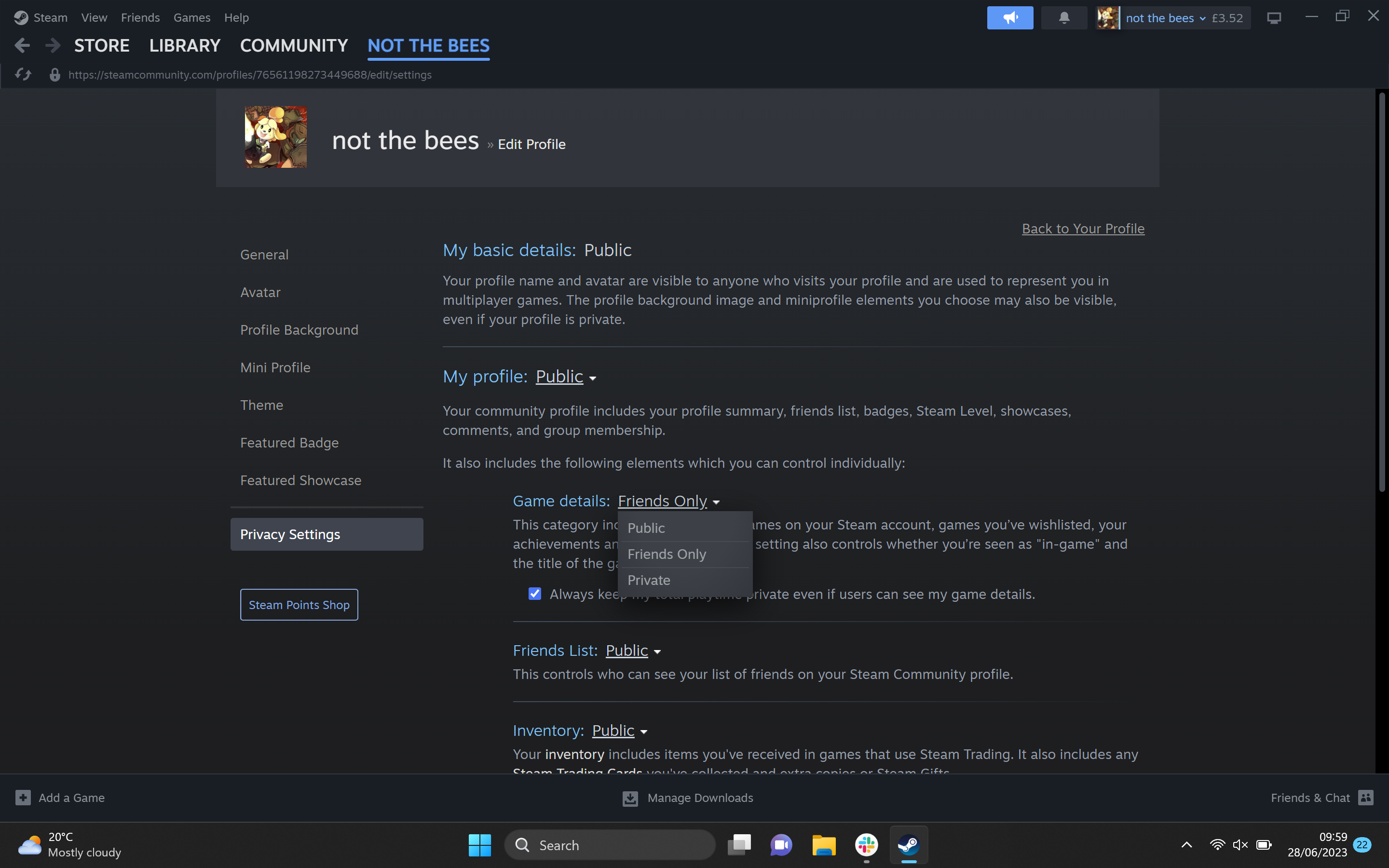 1687955052 206 Como ocultar la actividad de tu juego en Steam