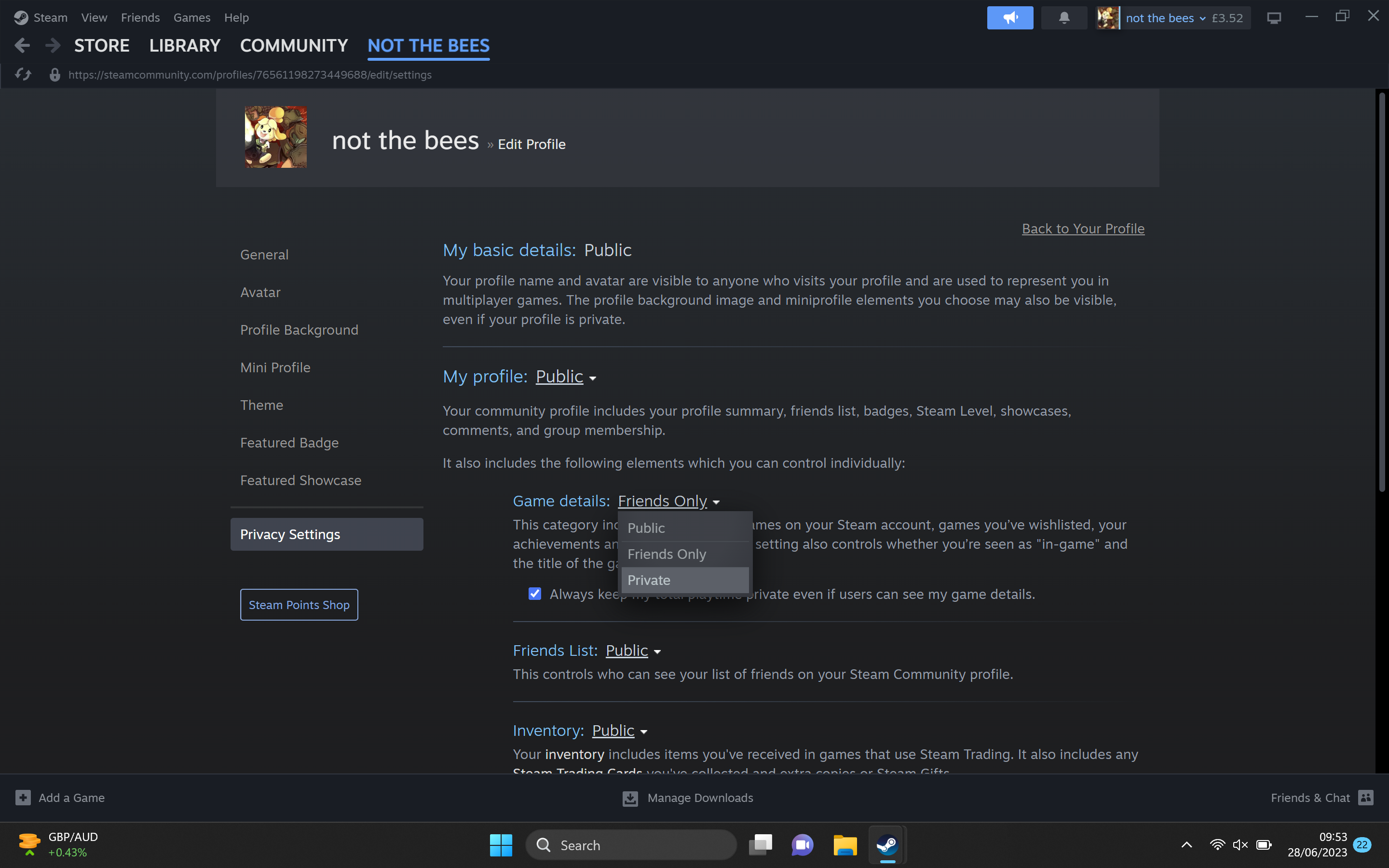 1687955052 29 Como ocultar la actividad de tu juego en Steam