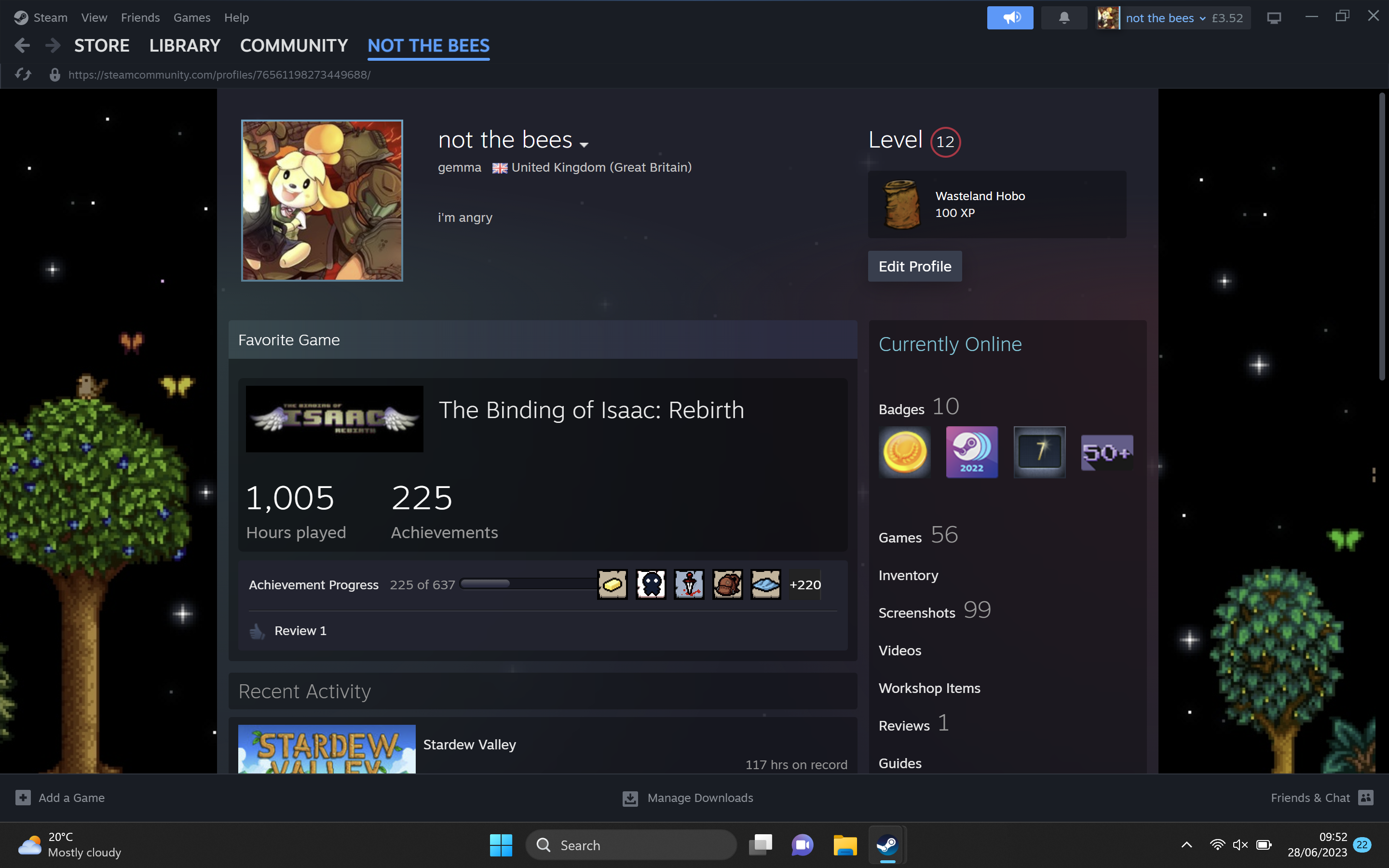 1687955052 491 Como ocultar la actividad de tu juego en Steam