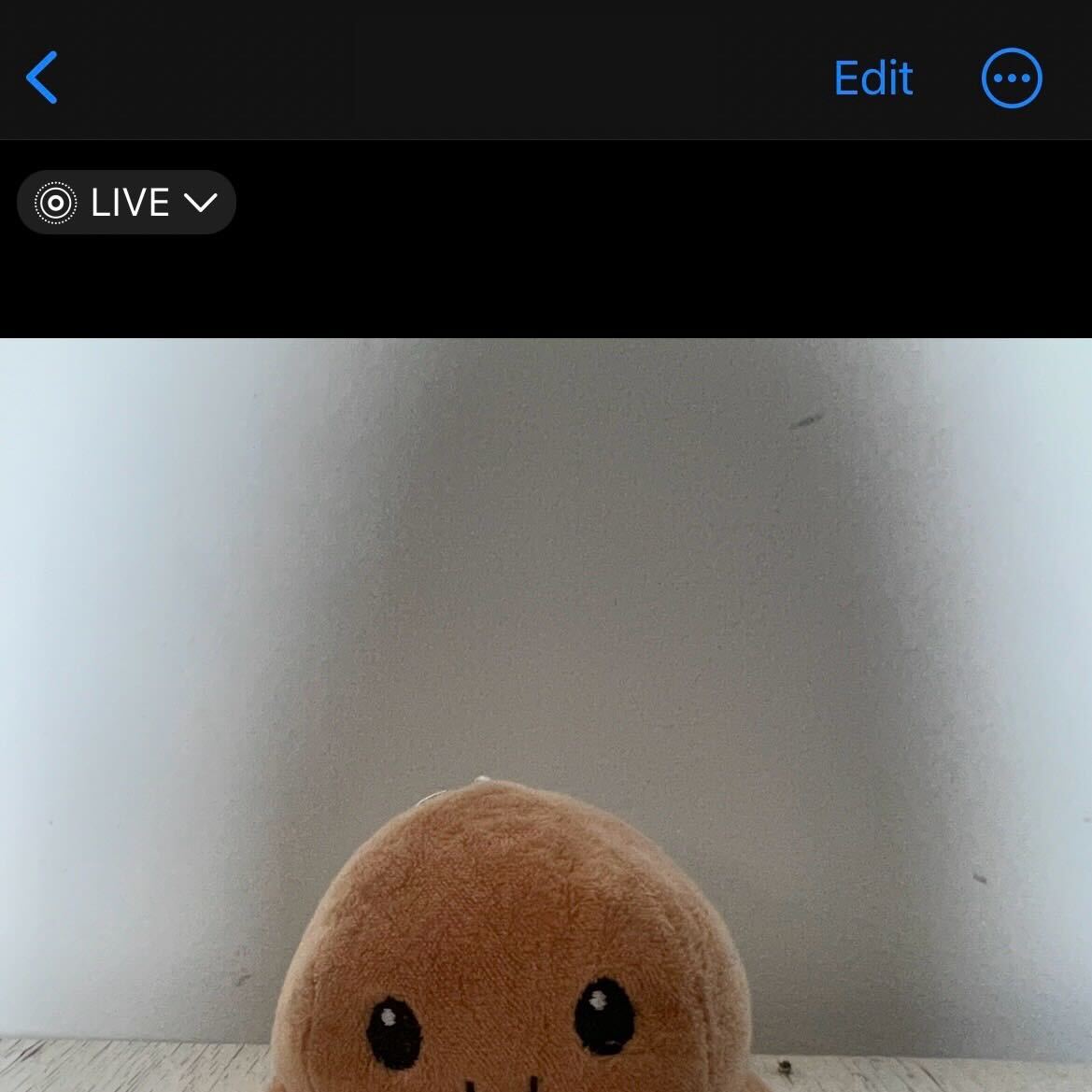 1695530171 19 Como guardar Live Photos como video en iOS 17