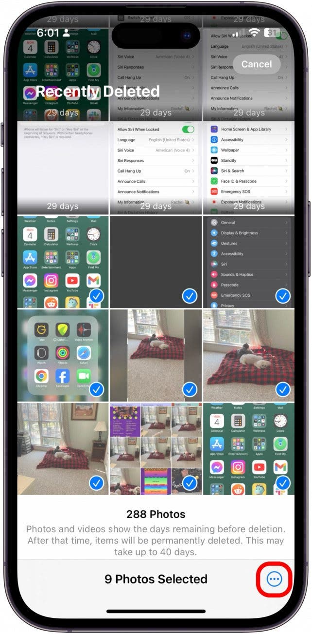 cómo recuperar fotos borradas permanentemente del iphone