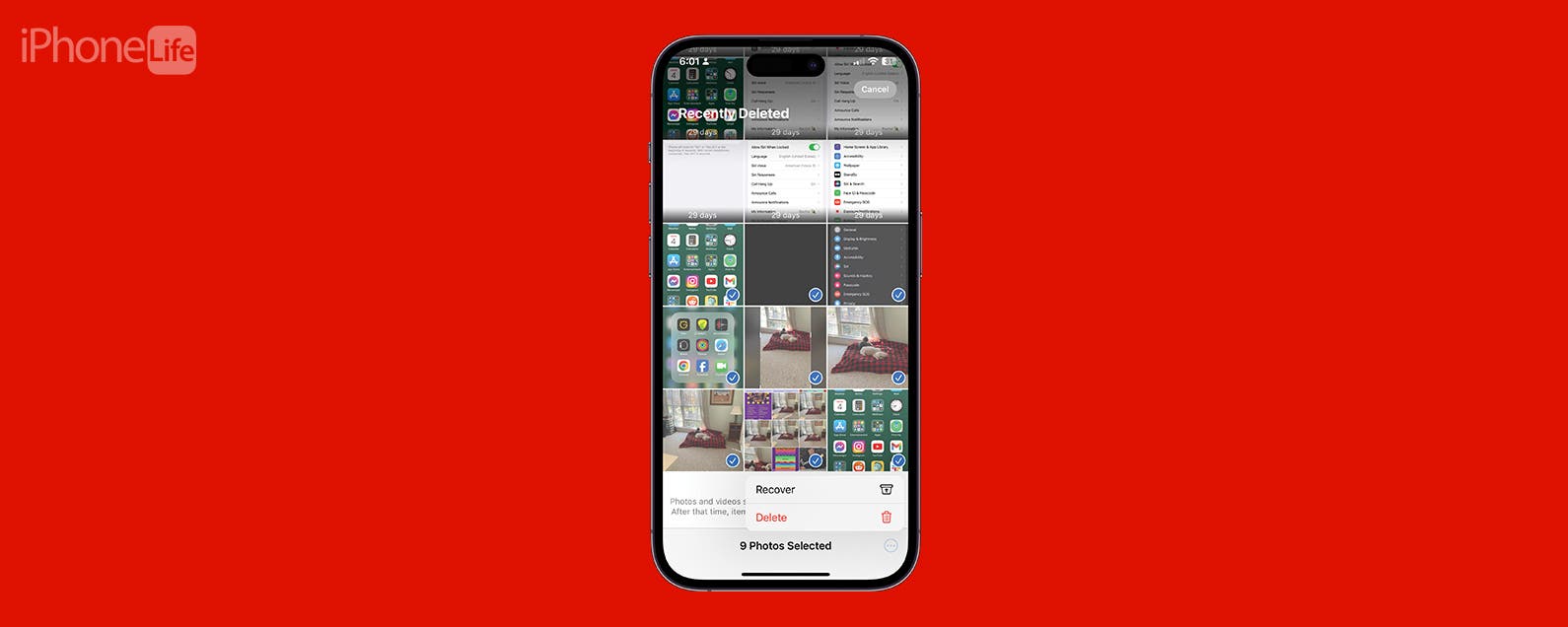 1702557427 Como recuperar fotos eliminadas permanentemente en iPhone