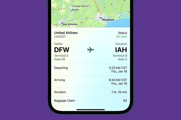 1706158900 Busque facilmente informacion de vuelos desde un mensaje de texto