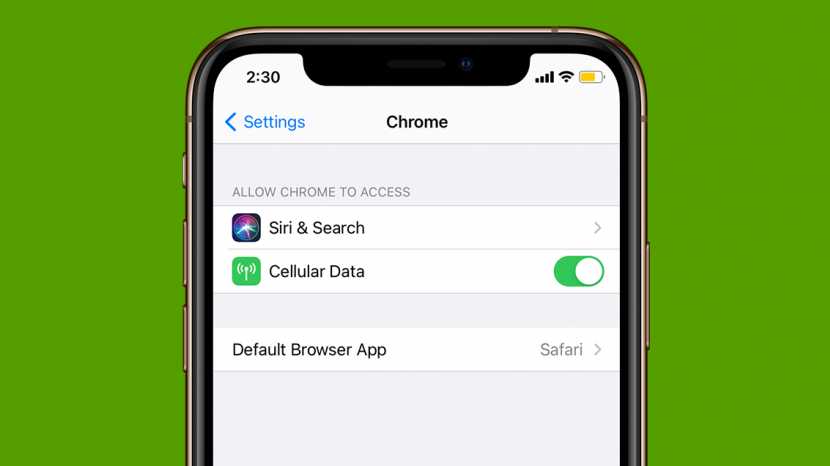 Como cambiar el navegador web predeterminado en su iPhone