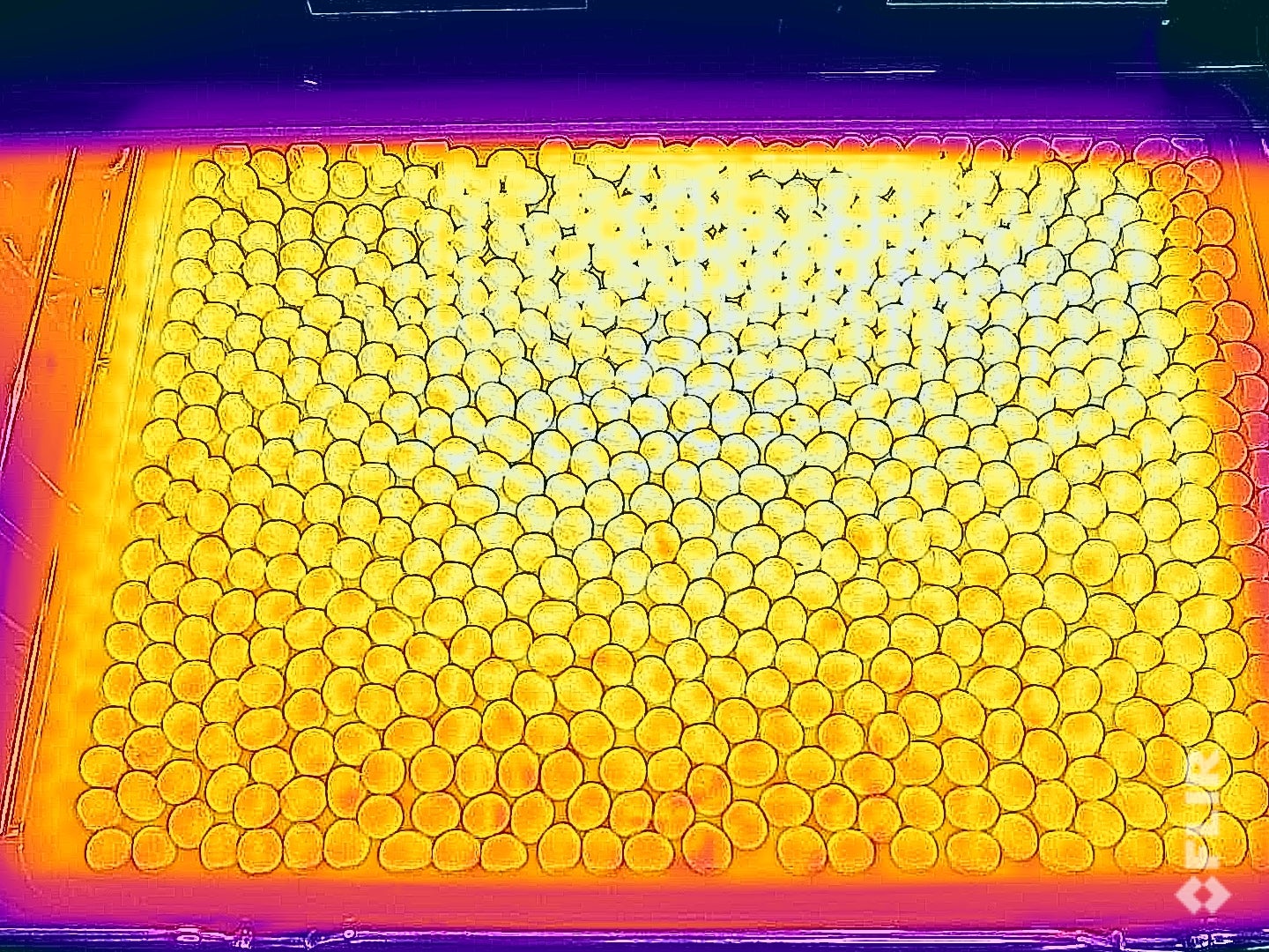 Neff B69VY7MY0 N 90 Horno Térmico Medio