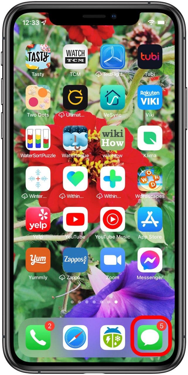 aplicación de mensajes de Apple