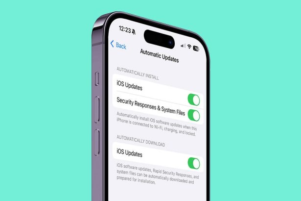 1709680353 %C2%BFQue es una respuesta de seguridad rapida Todo lo que