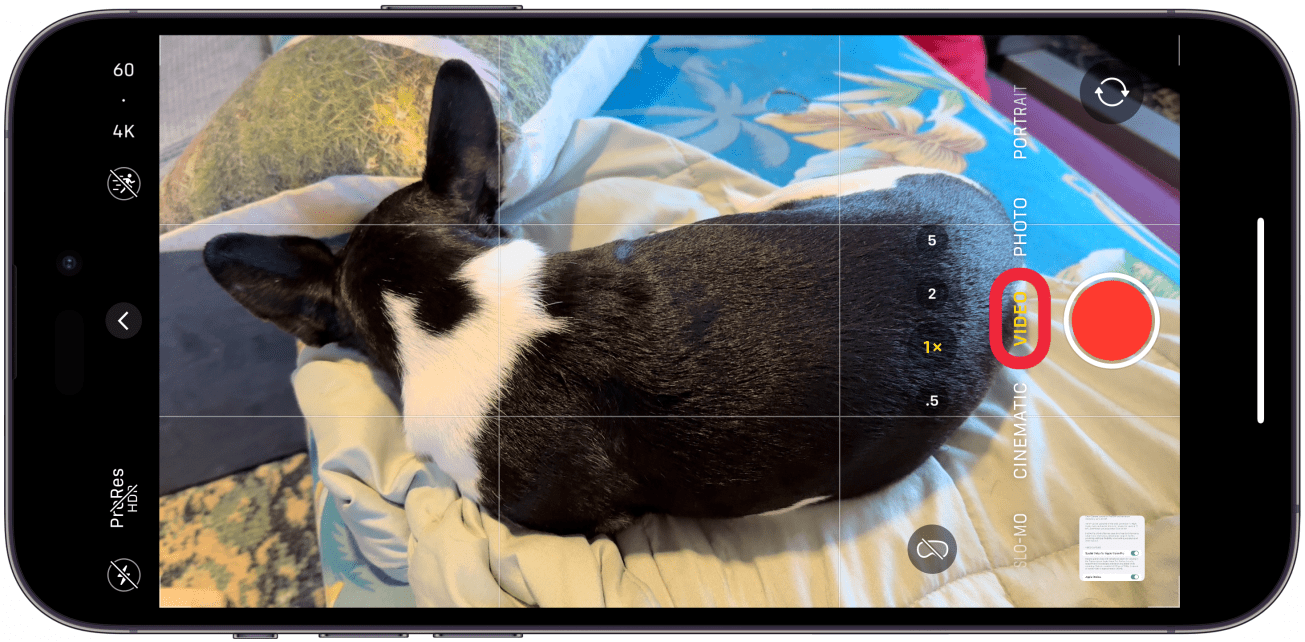 Sostenga su iPhone en modo horizontal y navegue hasta el modo de video en la aplicación Cámara.