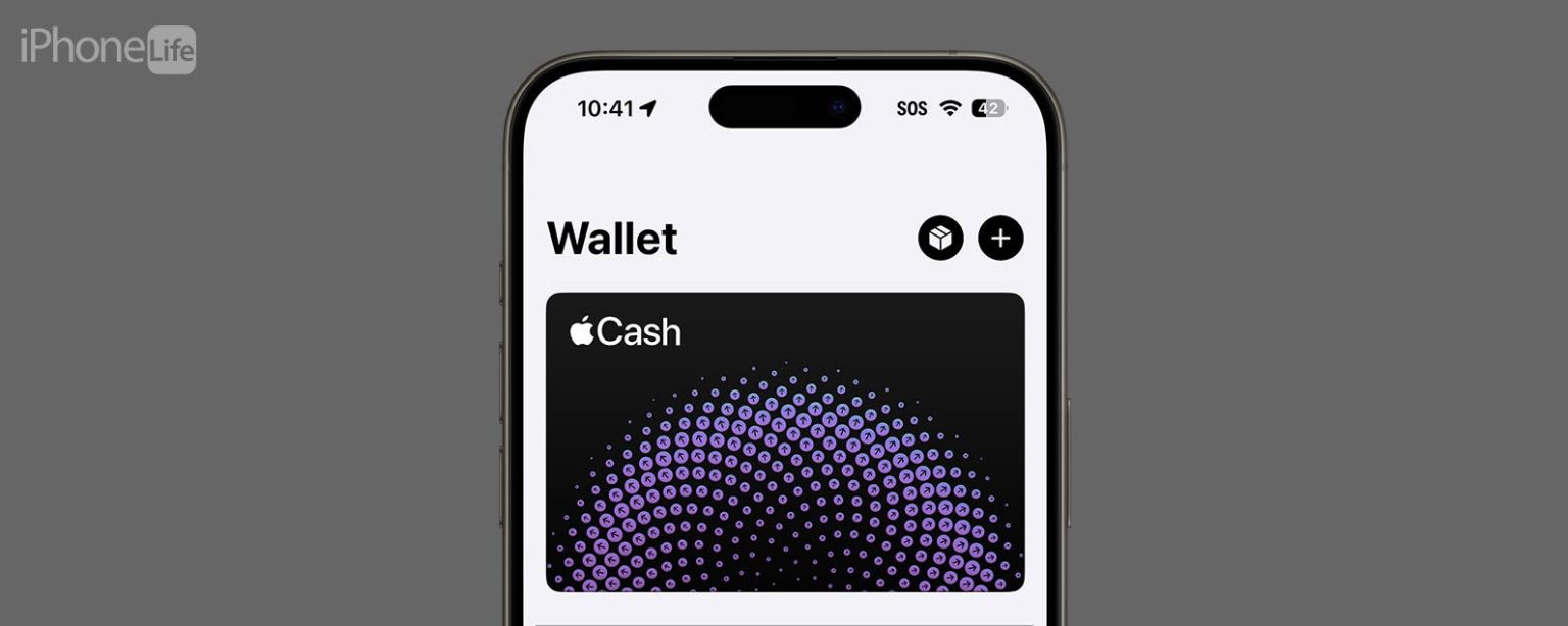 1711574696 Encuentre su numero oculto de tarjeta Apple Cash