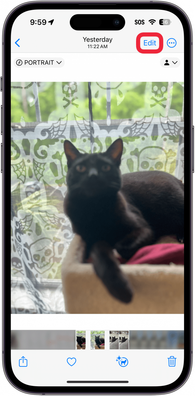 Fotos de iPhone con un cuadro rojo alrededor del botón de edición.