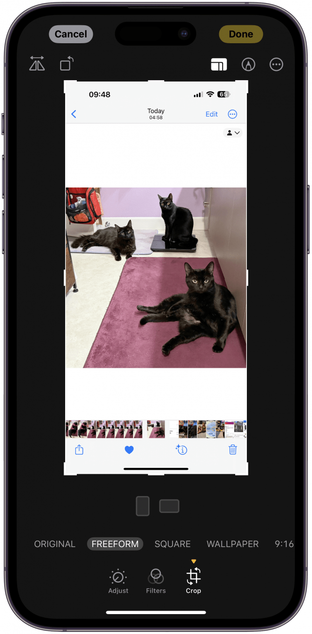 Cómo recortar fotos en iPhone