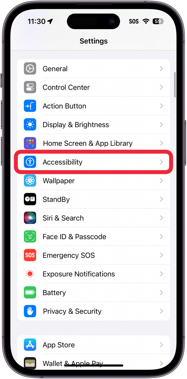 aplicación de configuración de iPhone con un cuadro rojo alrededor de accesibilidad