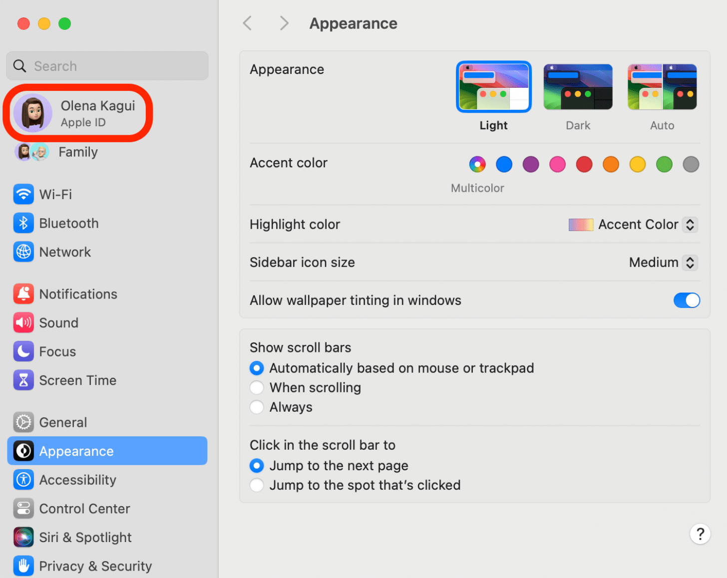 Haga clic en el logotipo de Apple en la parte superior izquierda de la barra de menú y seleccione Configuración del sistema.  Luego haga clic en su nombre en la parte superior de la configuración.