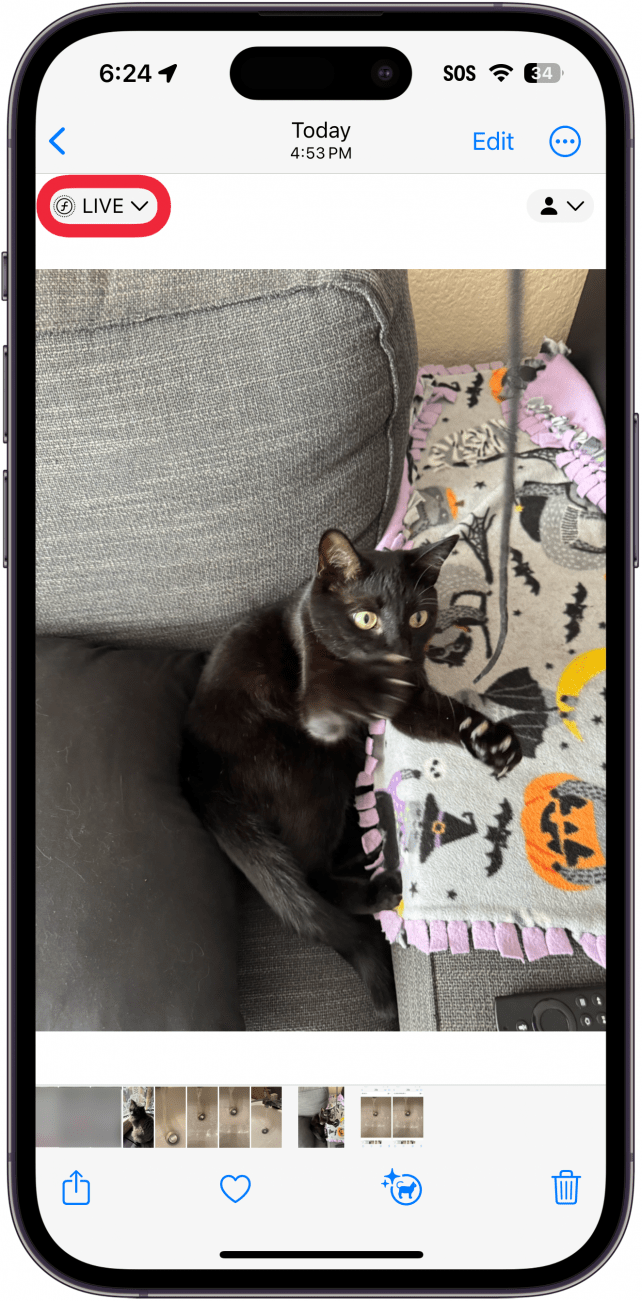 aplicación de fotos para iPhone que muestra una foto de un gato negro jugando con una cuerda con un cuadro rojo alrededor del botón en vivo