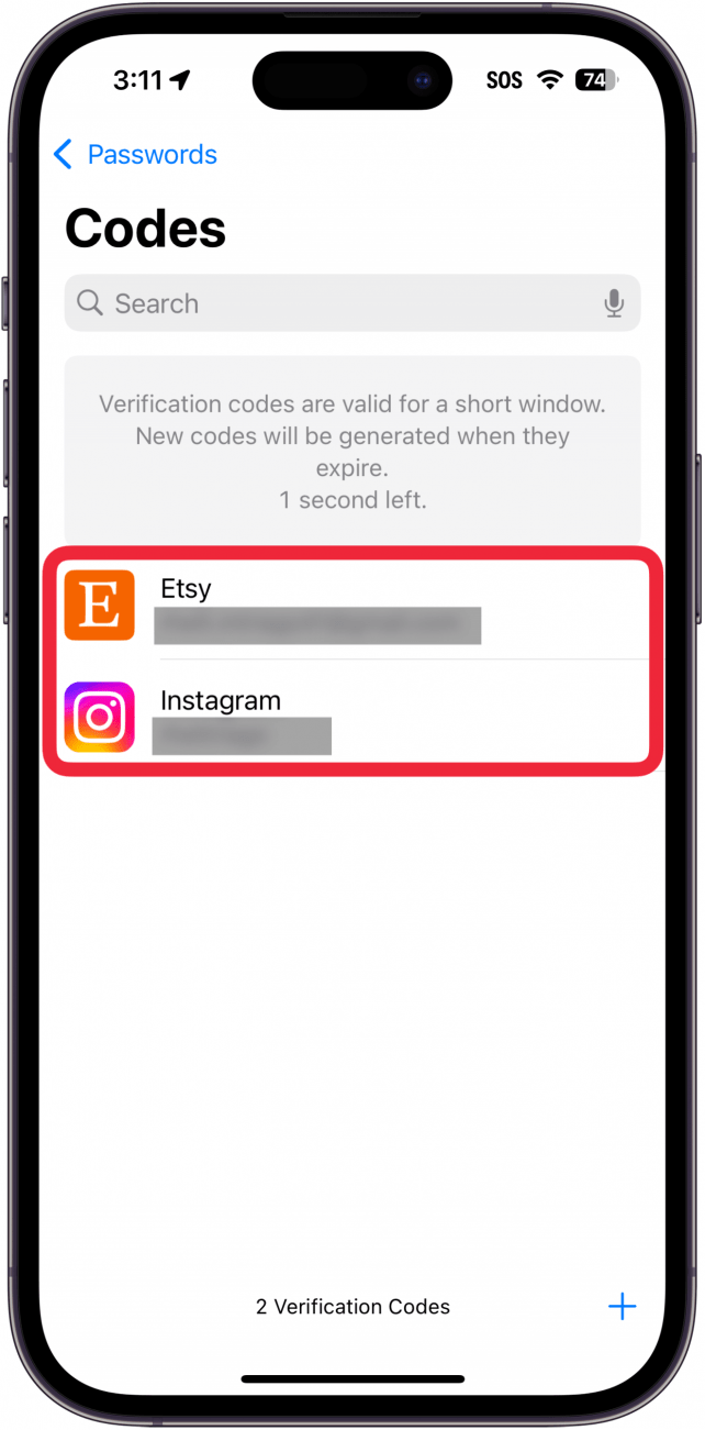 Códigos de la aplicación de contraseñas de iPhone: pantalla con un cuadro rojo alrededor de dos cuentas con claves de acceso