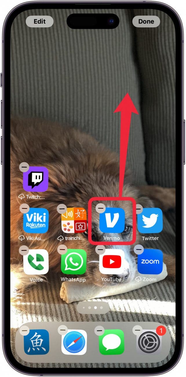 1723511543 600 Coloque las aplicaciones de iPhone en cualquier lugar de la