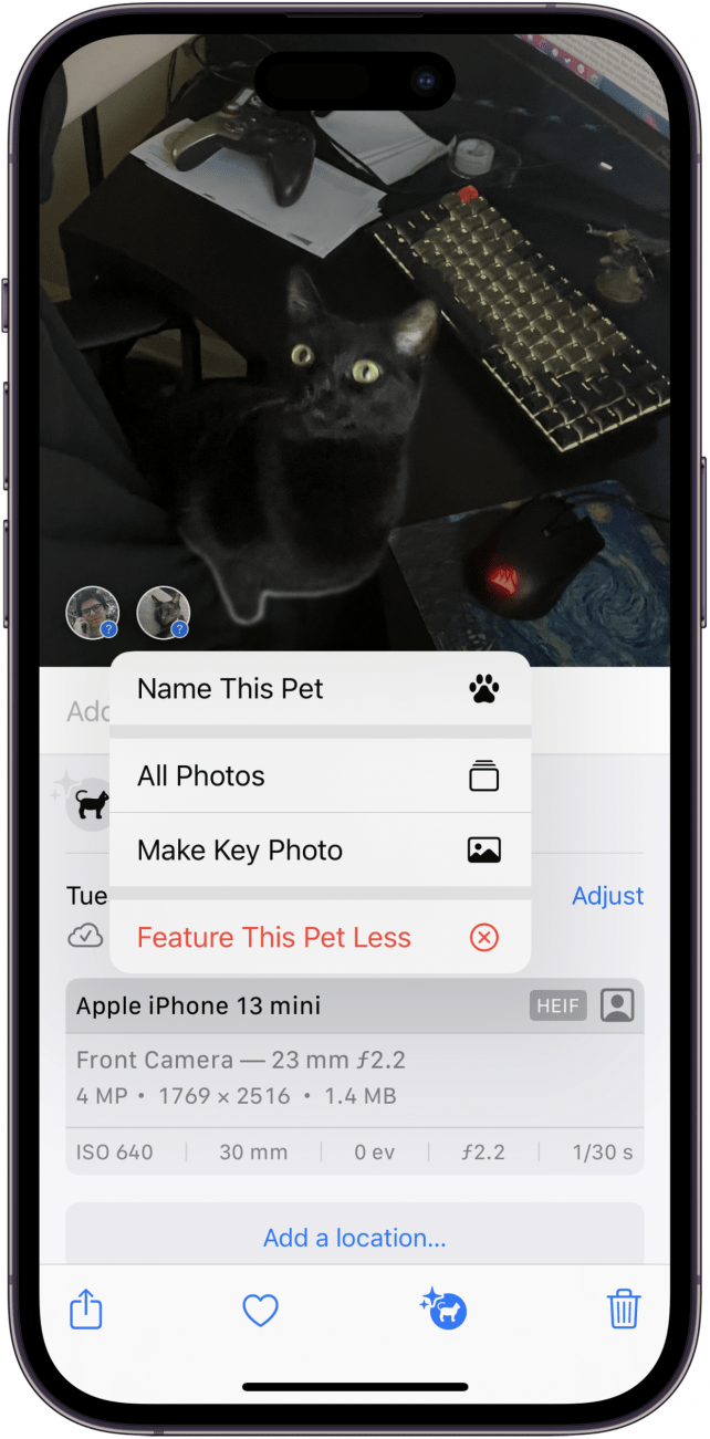Imagen de un gato negro en la aplicación de fotos con información de la foto mostrada