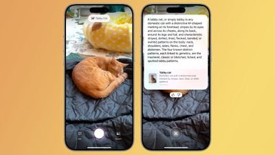 ios 18 3 animales de control de cámara