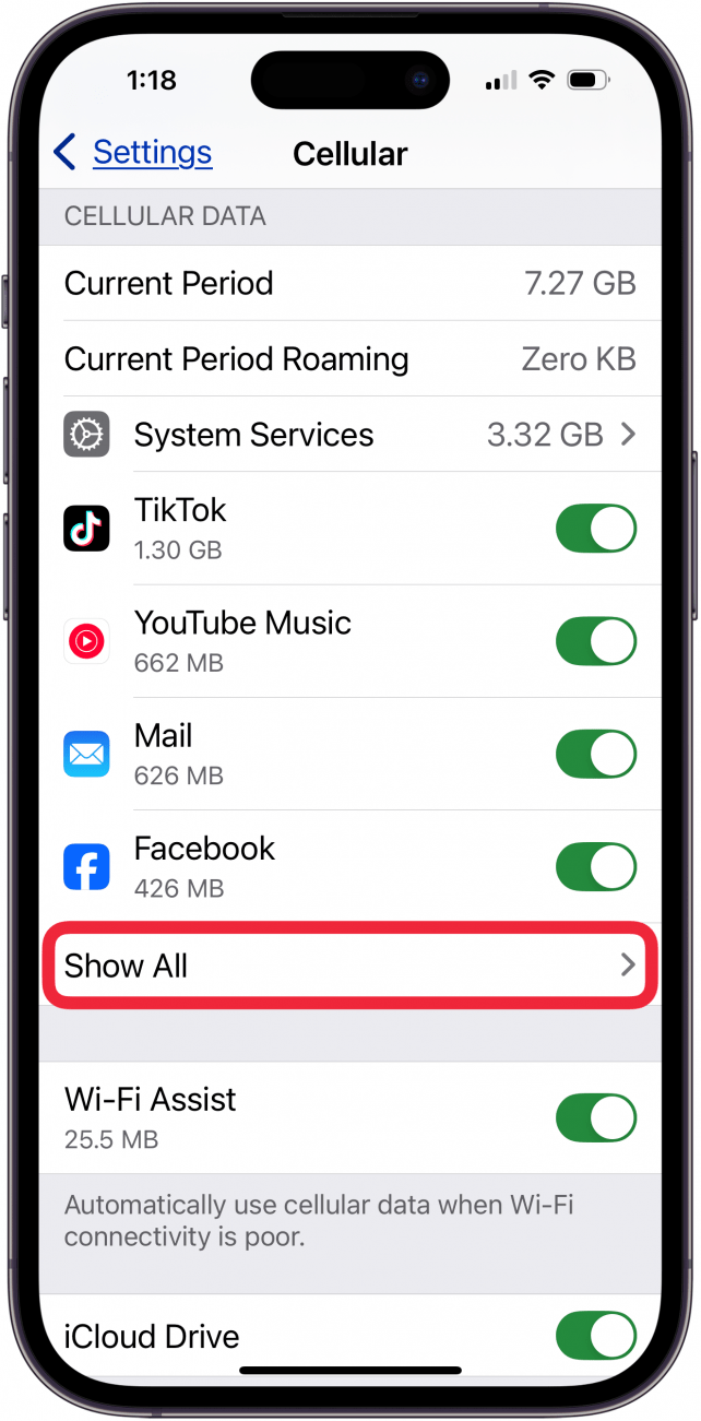 Toque Mostrar todo bajo datos celulares