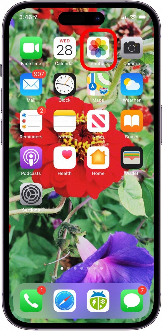 aplicación de fotos de Apple