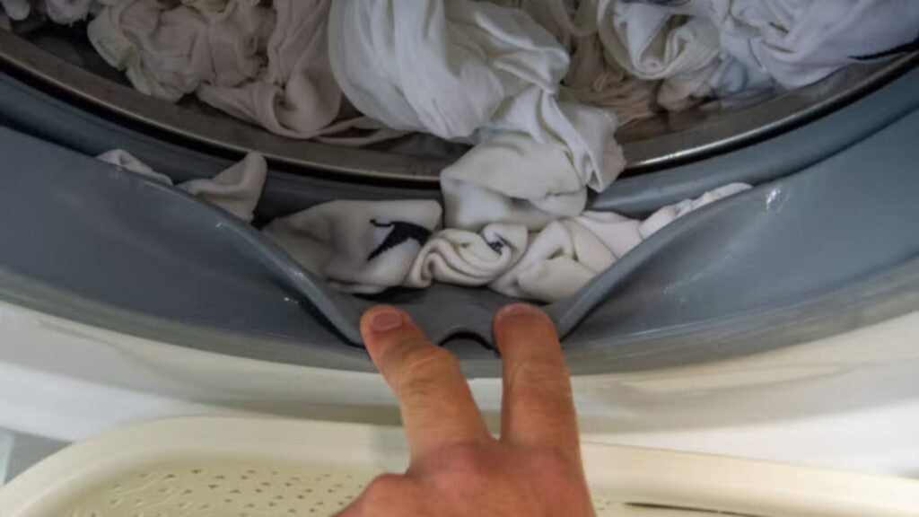 InDesit 107436 WV UK Ropa atascada en Seal