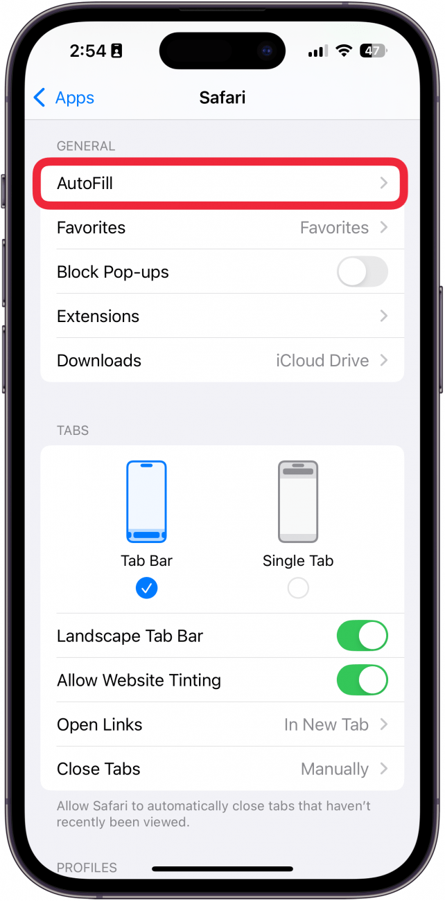 Configuración de Safari de iPhone con una caja roja alrededor de AutOfill