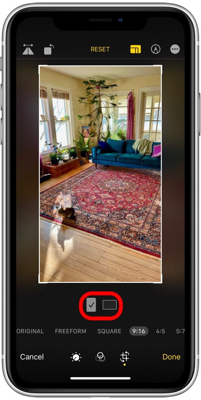 Toque para elegir si desea recortar vertical u horizontalmente. Así es como recortar una imagen en iPhone. 