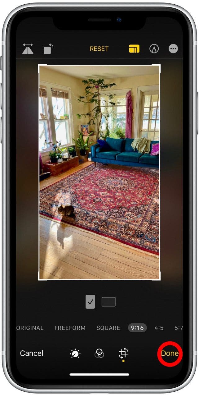 Cuando estés satisfecho con tu cosecha, toque listo. Así es como recortar fotos en iPhone. 
