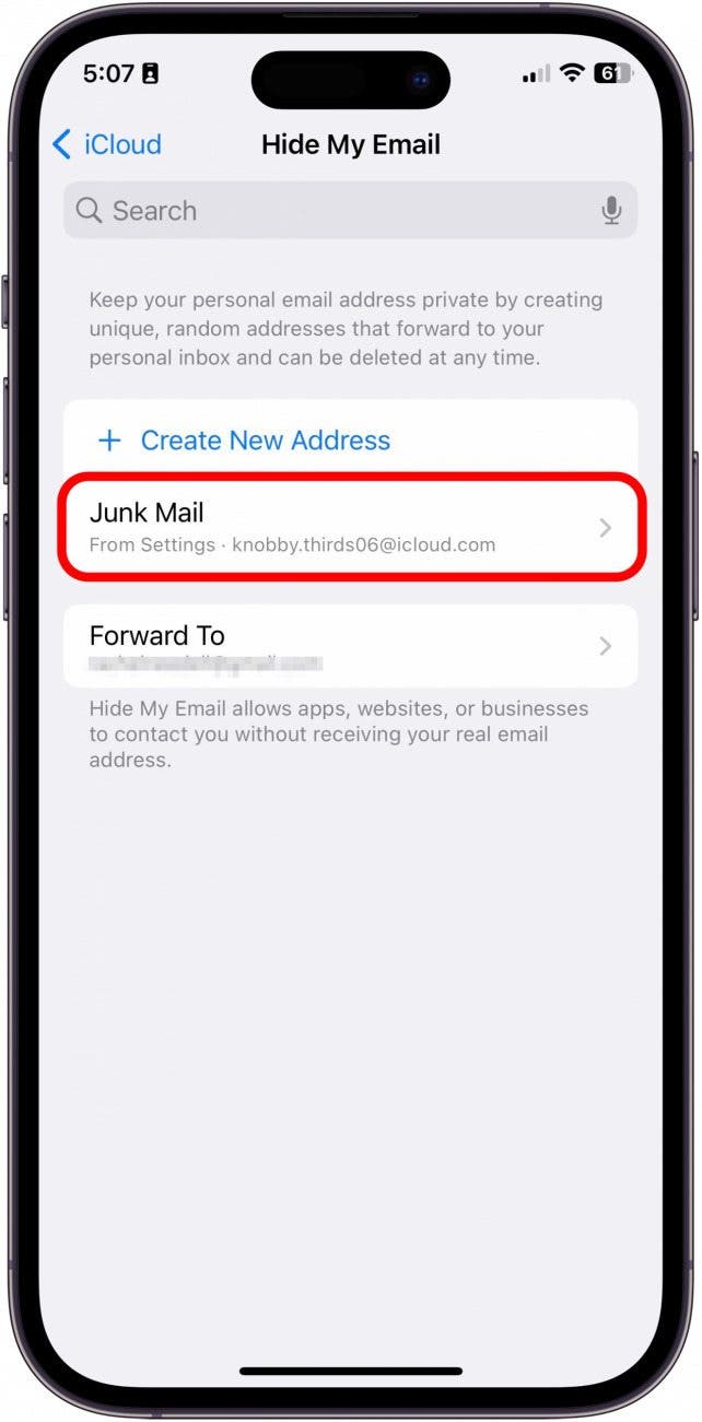 Ahora verá su nuevo correo electrónico ficticio en la pantalla Ocultar mi correo electrónico.