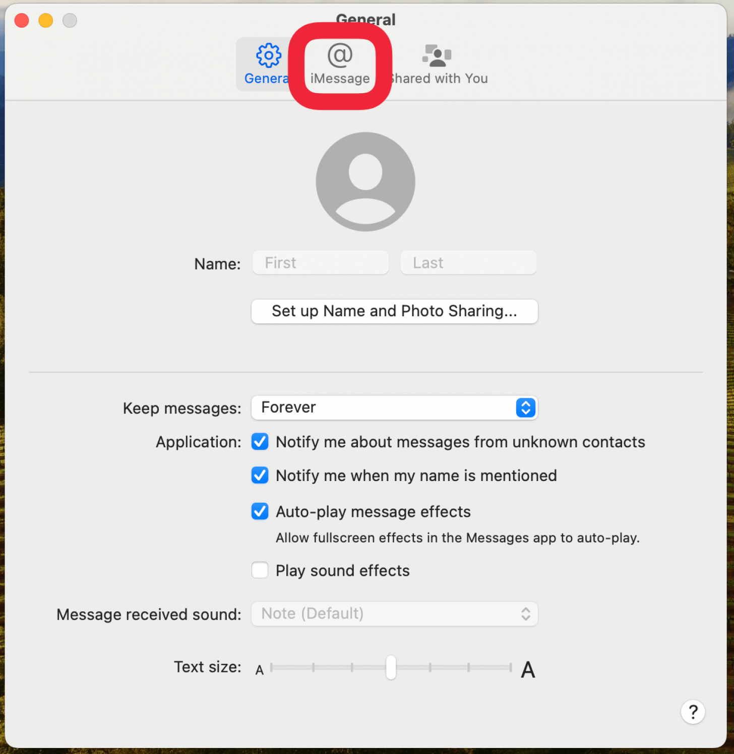 Configuración de la aplicación de mensajes Mac con un cuadro rojo alrededor de la pestaña iMessage