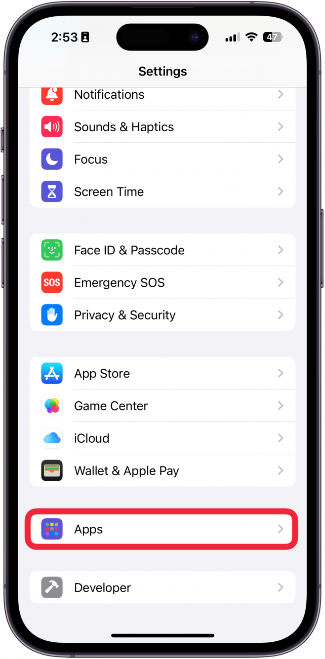 Configuración de iPhone con una caja roja alrededor de las aplicaciones