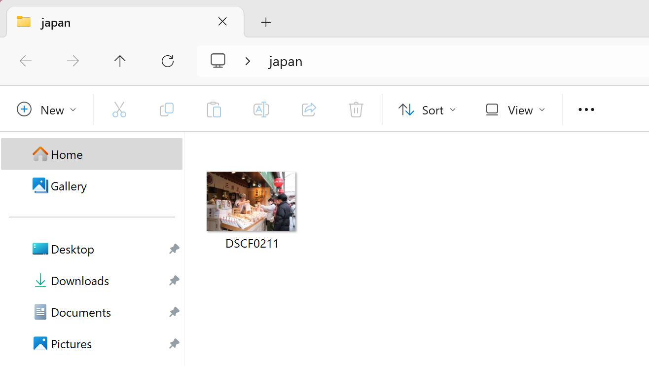Como eliminar los metadatos de sus fotos