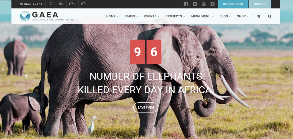 Thème WordPress Gaea Eco