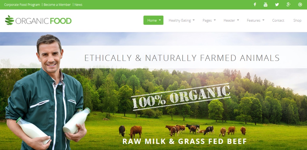 Thème WordPress Eco pour les aliments biologiques
