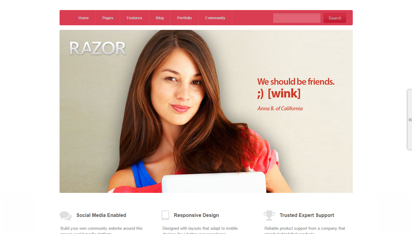 Razor : Thème WordPress de pointe