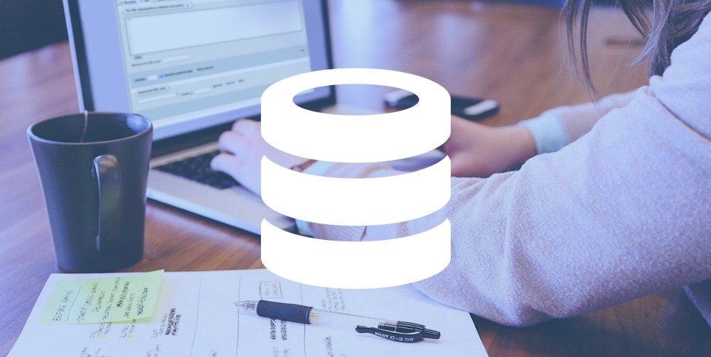 1636777502 Gain de temps sur les requetes SQL pour WordPress