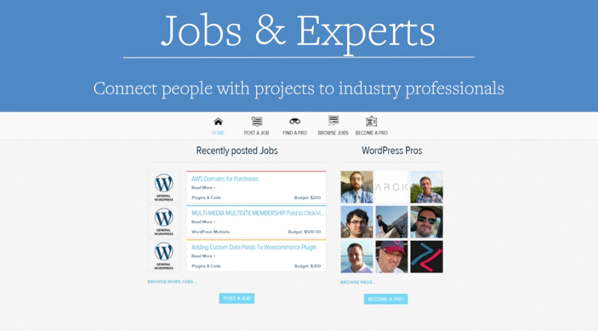 wpmu Dev Jobs & Experts Plugin