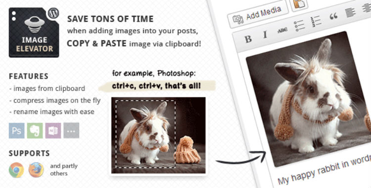 Élévateur d'images Images faciles pour WordPress