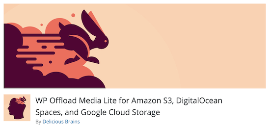 WP Offload Media - Themelocal Média de déchargement WP