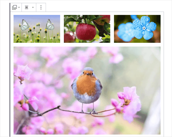 Quatre images dans la galerie (papillons, pomme, fleurs bleues et rouge-gorge) - Themelocal Quatre images dans la galerie (papillons, pomme, fleurs bleues et rouge-gorge)