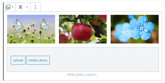 Trois images dans la galerie (papillons, pomme et fleurs bleues) - Themelocal Trois images dans la galerie (papillons, pomme et fleurs bleues)