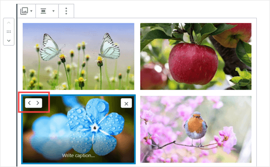 Déplacer une image en avant ou en arrière dans la galerie - Themelocal Déplacer une image vers l'avant ou vers l'arrière dans la galerie