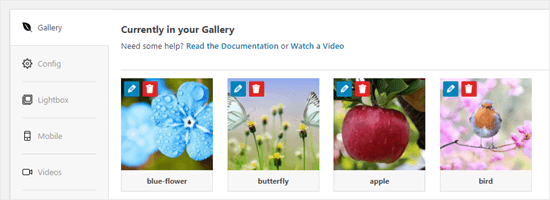 Images téléchargées sur Envira Gallery - Themelocal Images téléchargées dans la galerie Envira
