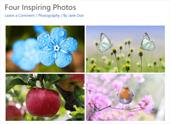 The Envira gallery with medium margins - Themelocal 1637420464 198 Comment mettre des images cote a cote dans WordPress facilement