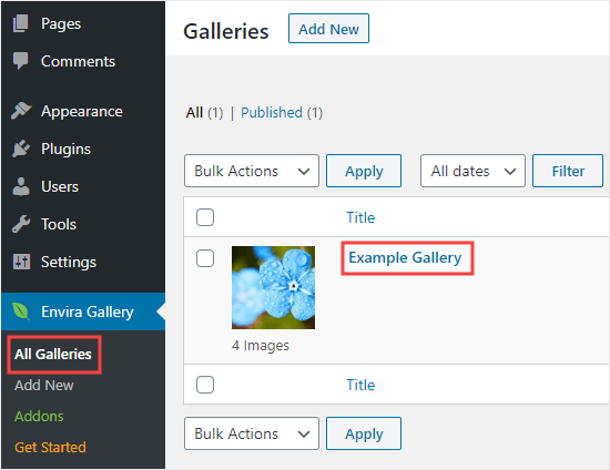 Modification d'une galerie que vous avez déjà créée dans Envira Gallery - Themelocal Modification d'une galerie que vous avez déjà créée dans Envira Gallery