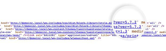 Version WordPress affichée avec les fichiers CSS et JS - Themelocal Version WordPress affichée avec les fichiers CSS et JS