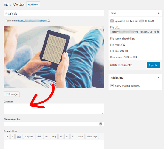 Écran d'édition de publication d'image dans WordPress - Themelocal Écran d'édition de publication d'image dans WordPress