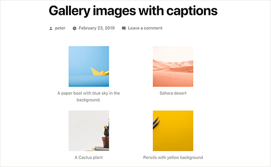Images de la galerie de l'éditeur classique avec légendes - Themelocal Images de la galerie de l'éditeur classique avec légendes