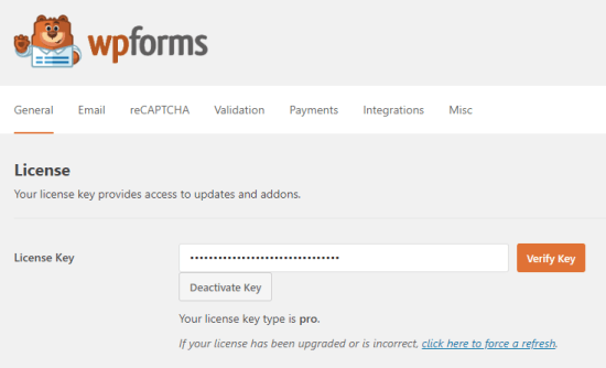 Saisie de votre clé de licence pour WPForms - Themelocal Saisie de votre clé de licence pour WPForms